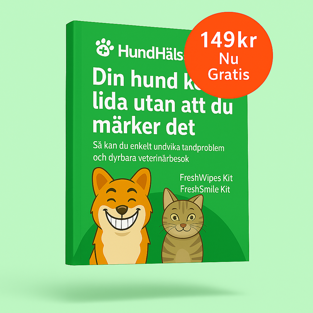 FreshWipe Kit Cats - Skyddar Mot tandproblem