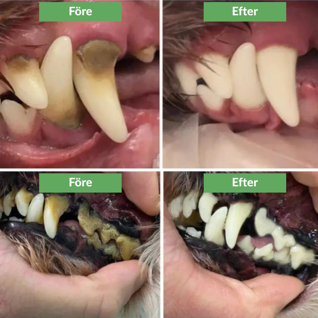 FreshSmile 3 in 1 Kit - Säker tandvård hemifrån