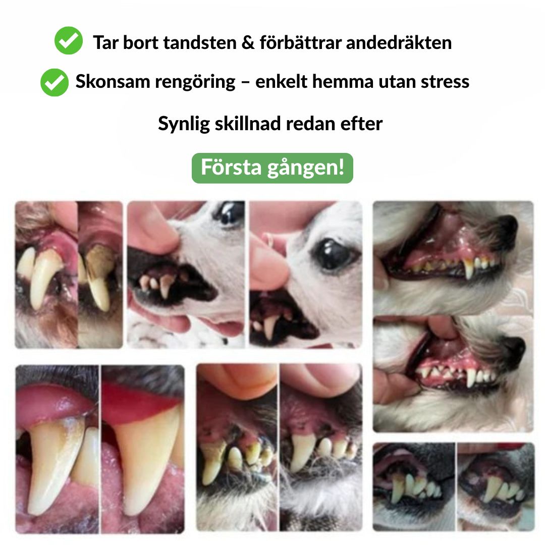 FreshSmile Kit - Säker tandvård hemifrån