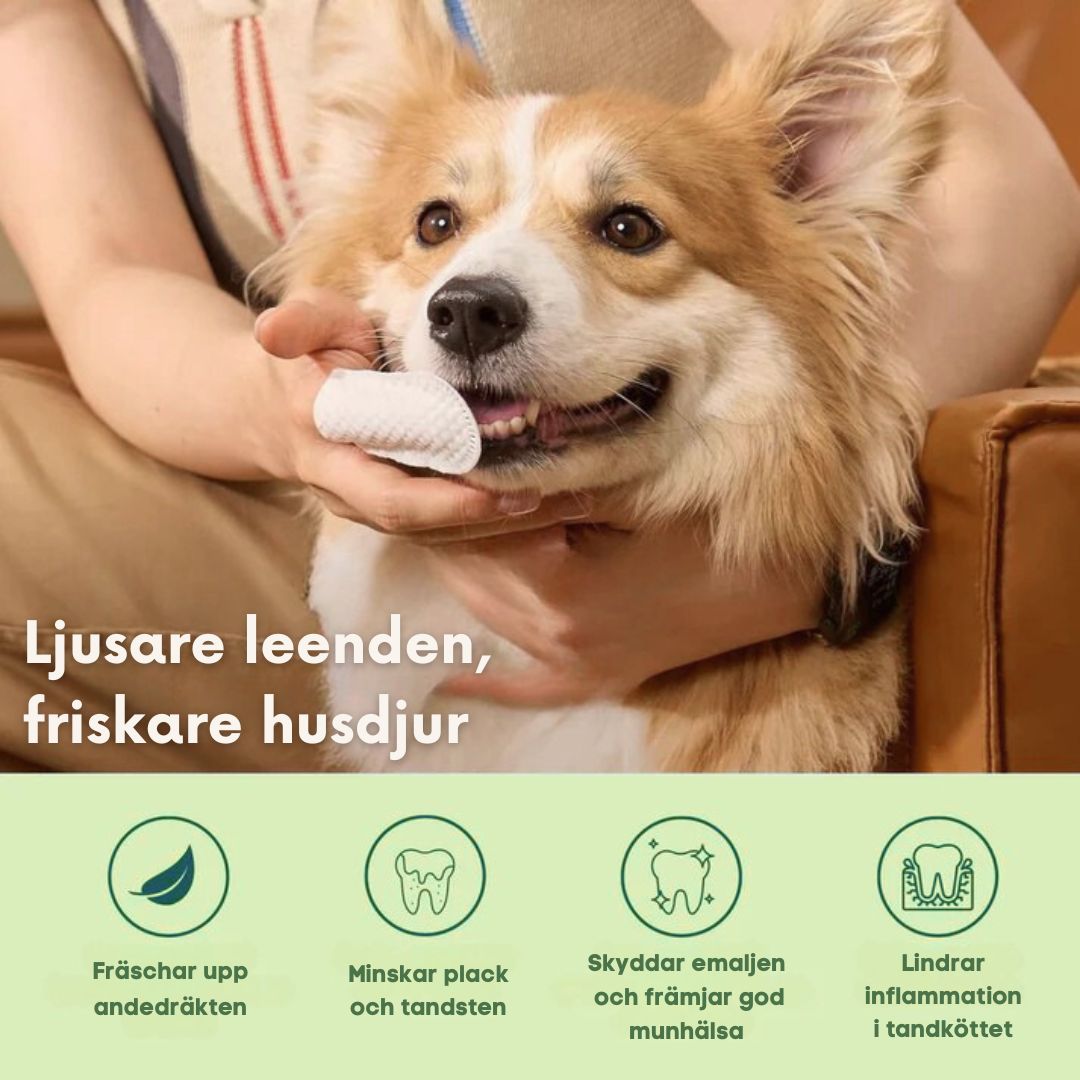 FreshWipe Kit - Skyddar mot tandproblem