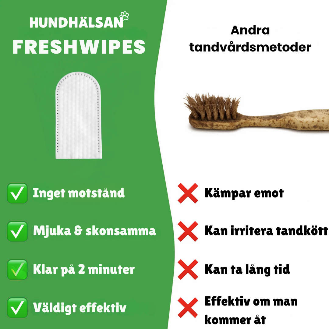 FreshWipe Kit - Skyddar mot tandproblem
