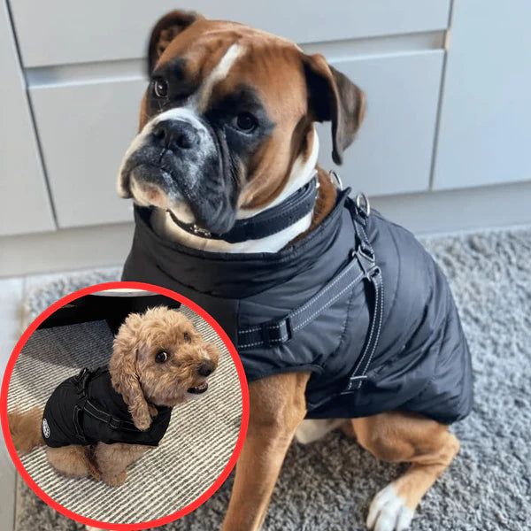 Hundhälsans VinterSele Jacka