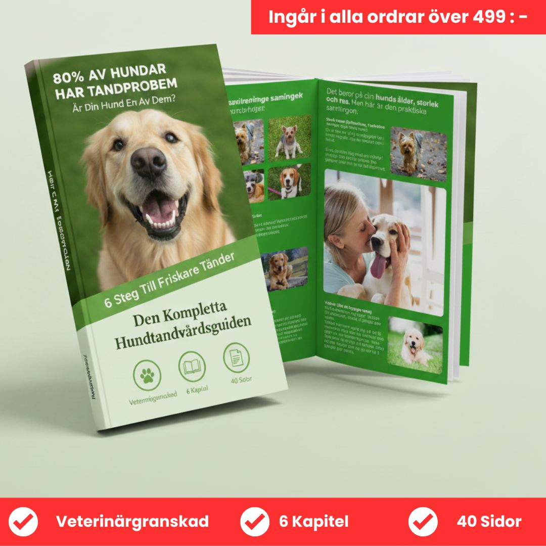 FreshWipe Kit - Skyddar mot tandproblem