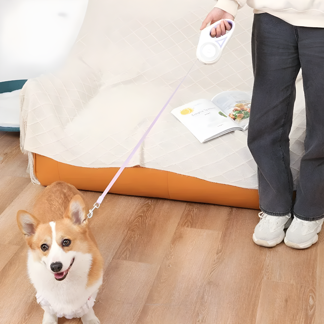 LED-Ljus Hundkoppel