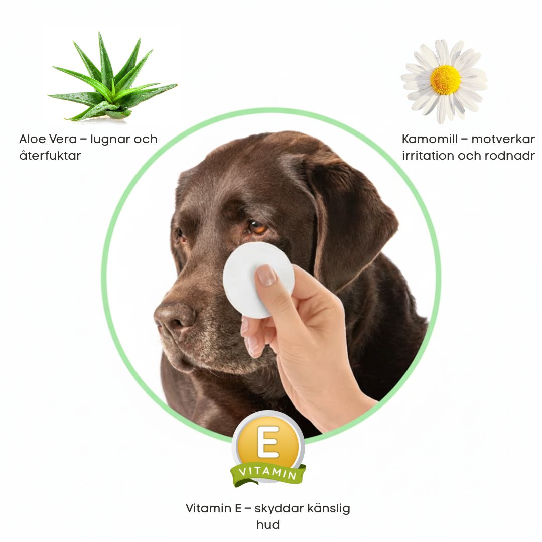 EyeWipes Kit - Skyddar mot ögonproblem