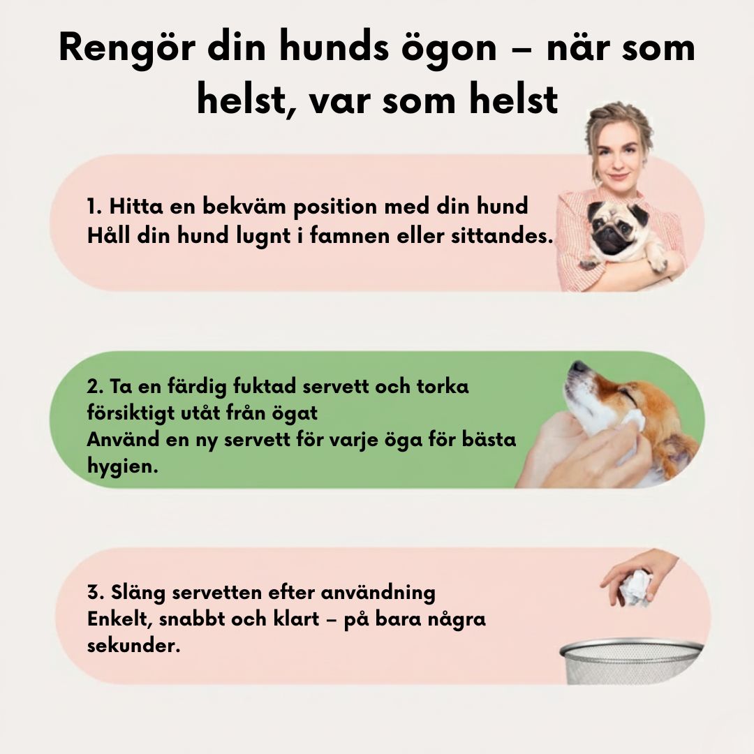 EyeWipes Kit - Skyddar mot ögonproblem