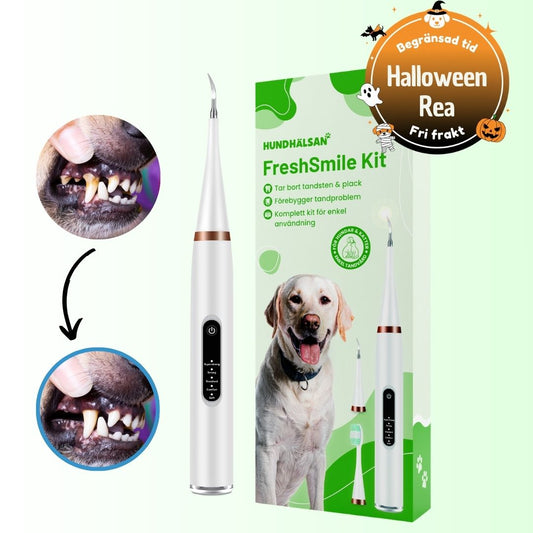 FreshSmile 3 in 1 Kit - Säker tandvård hemifrån