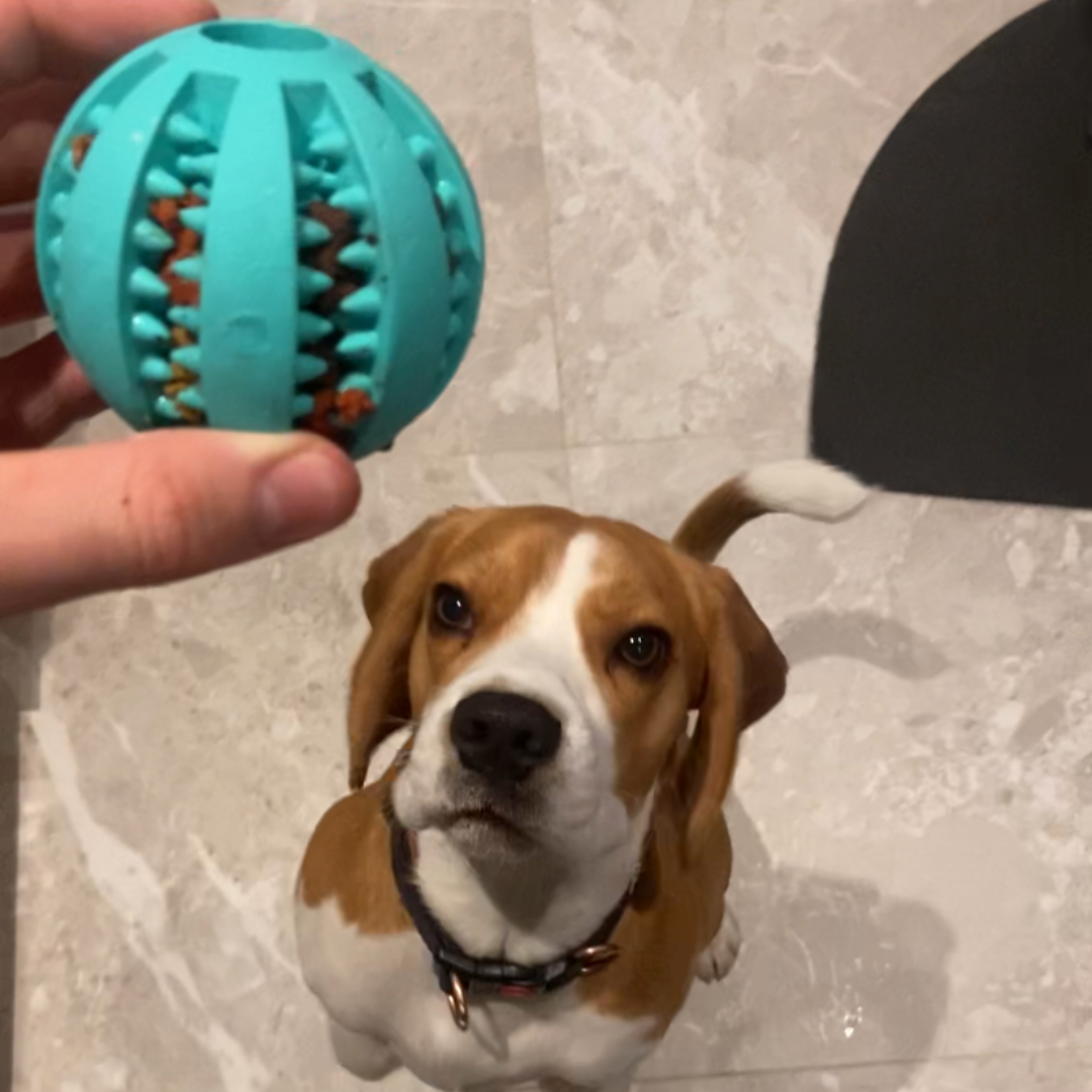 TuggBollen™️ ⎮ Rolig tandvård