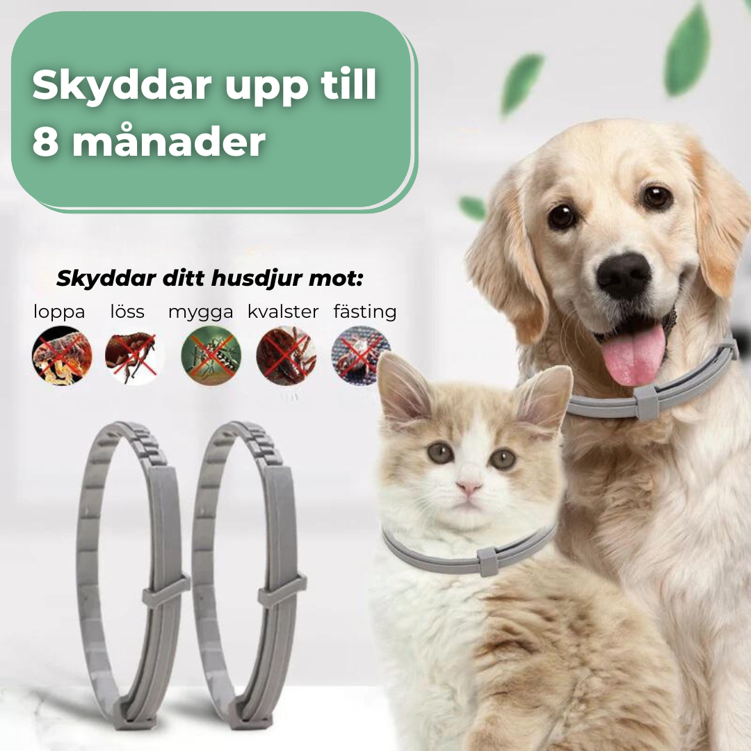 FästingStopp - Håller Fästingarna Borta Säkert