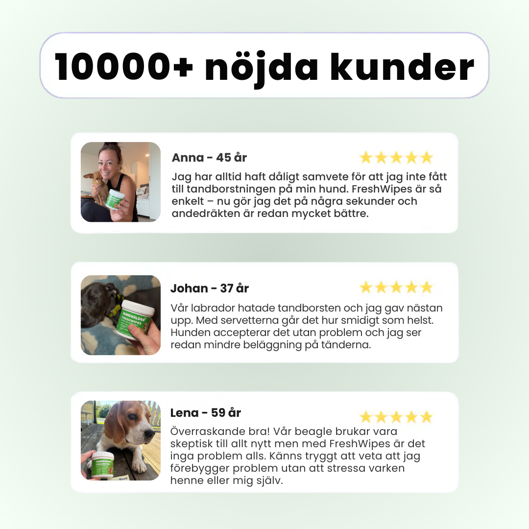 FreshWipes – För frisk andedräkt & starka tänder