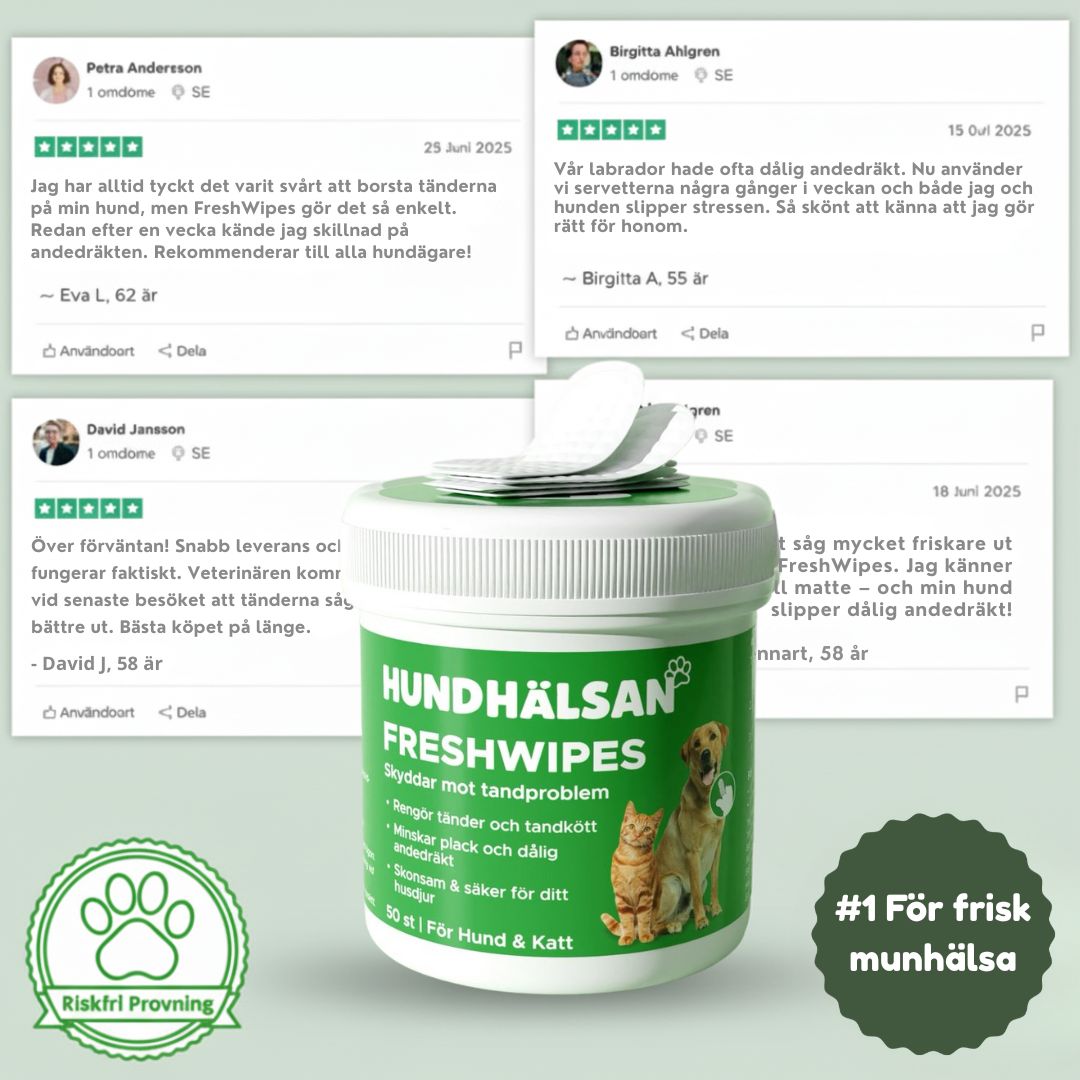 FreshWipes – För frisk andedräkt & starka tänder