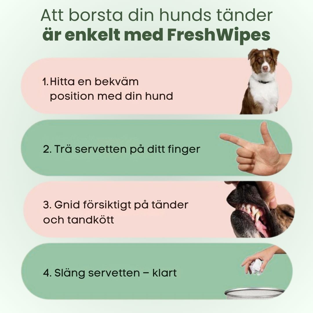 FreshWipes – För frisk andedräkt & starka tänder