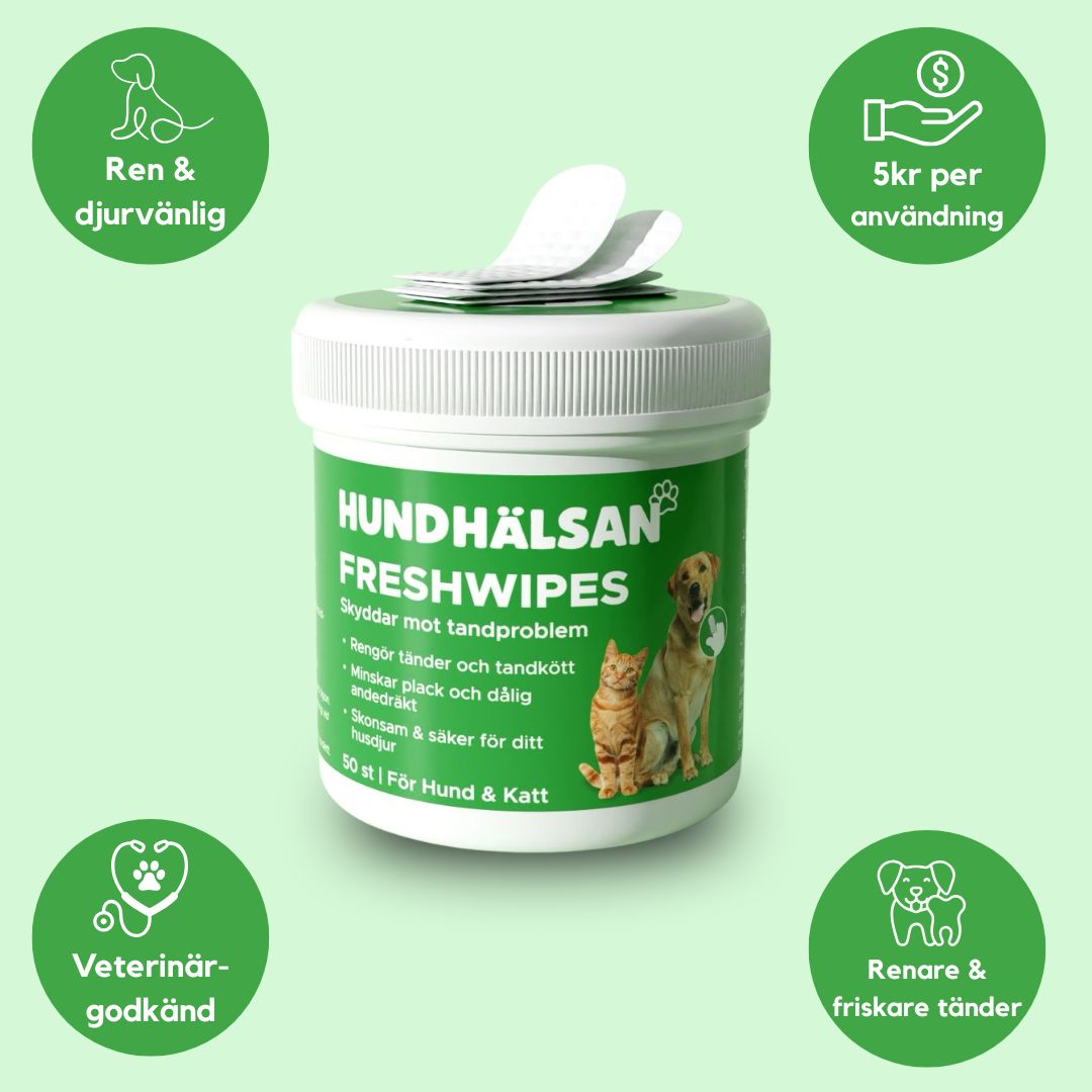 FreshWipe Kit - Skyddar mot tandproblem