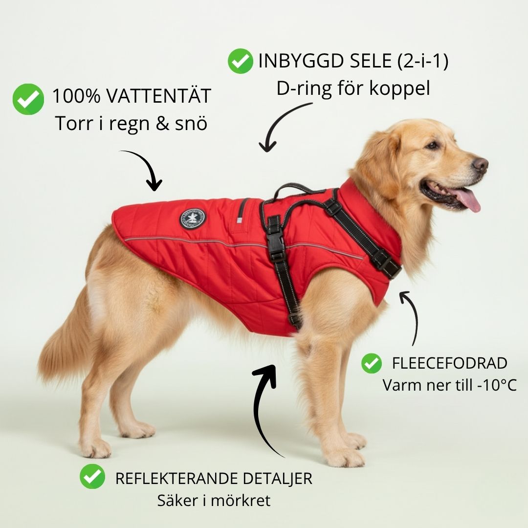 Hundhälsans VinterSele Jacka