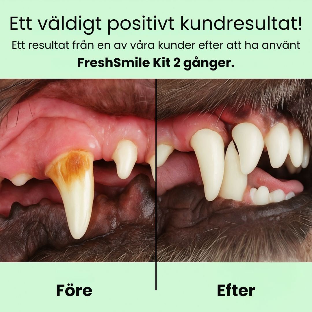 FreshSmile Kit - Säker tandvård hemifrån