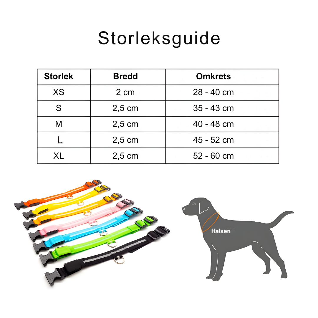 LED Halsbandet ⎮ Synliggör din hund