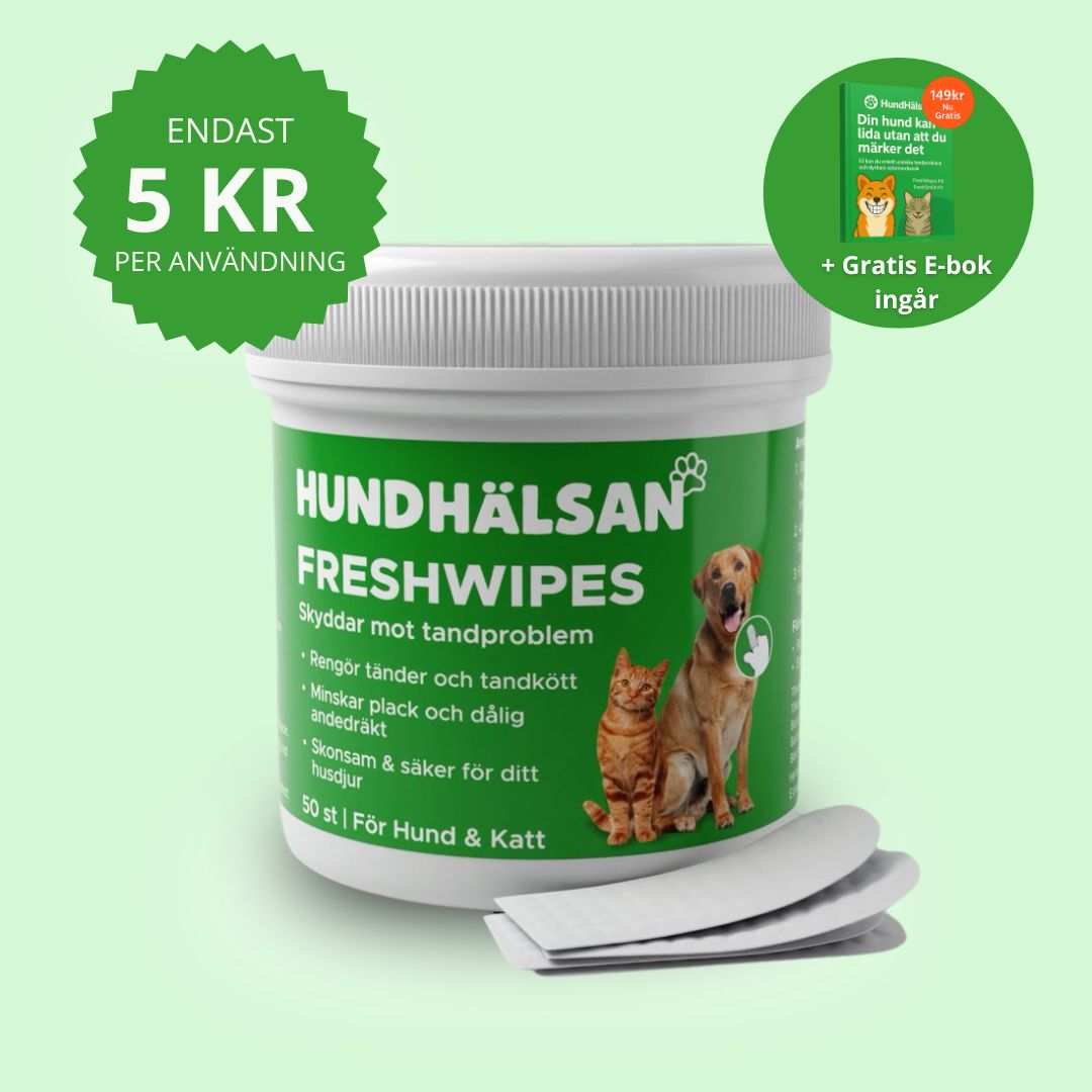 FreshWipe Kit - Skyddar mot tandproblem