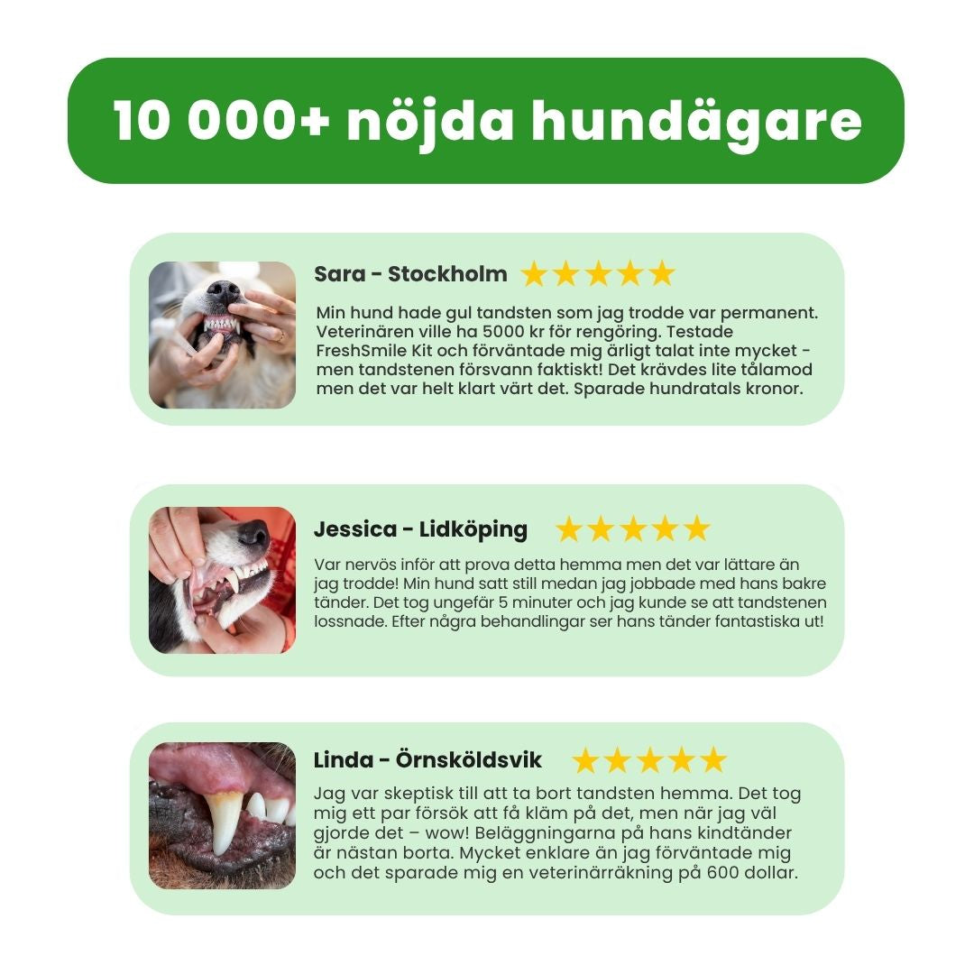 FreshSmile 3 in 1 Kit - Säker tandvård hemifrån