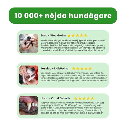 FreshSmile 3 in 1 Kit - Säker tandvård hemifrån