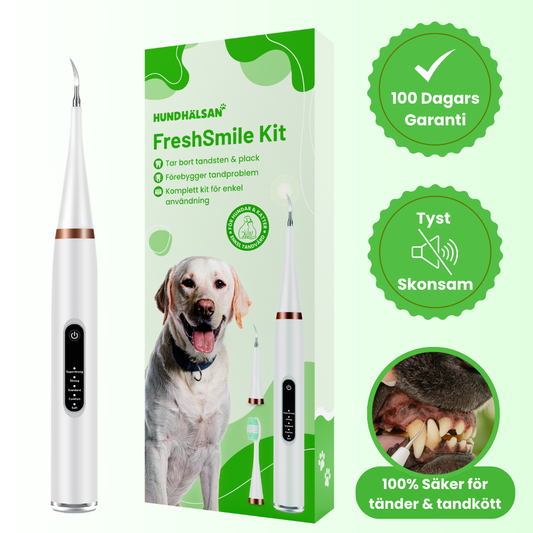 FreshSmile 3 in 1 Kit - Säker tandvård hemifrån