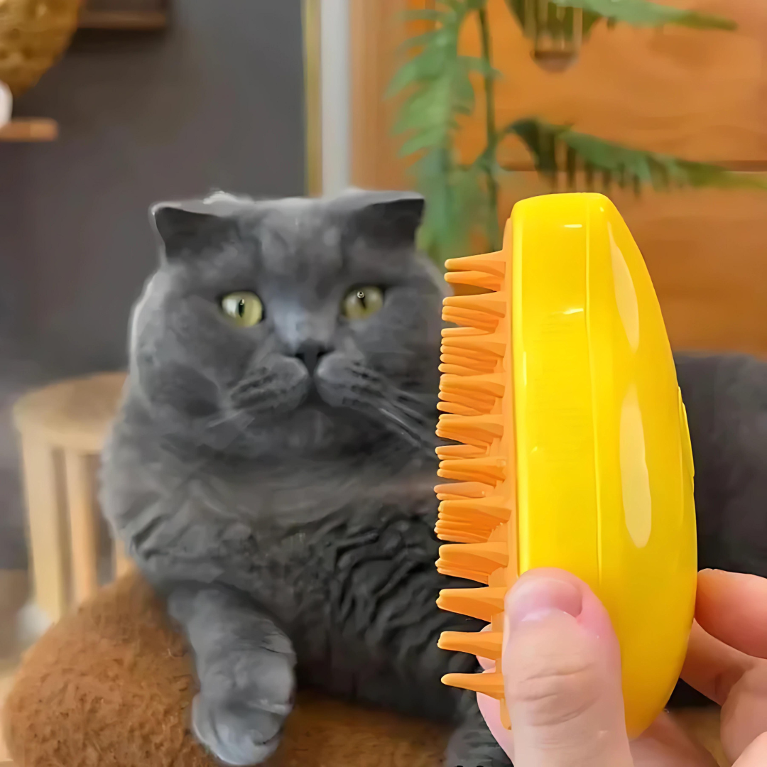 Steamybrush -