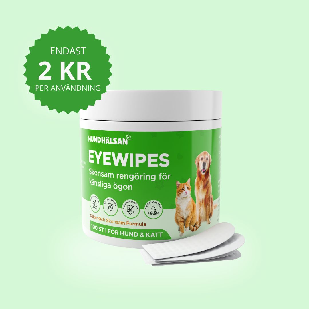 EyeWipes Kit - Skyddar mot ögonproblem
