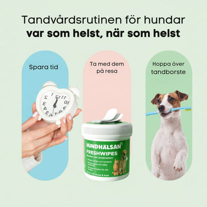 FreshWipe Kit - Skyddar mot tandproblem