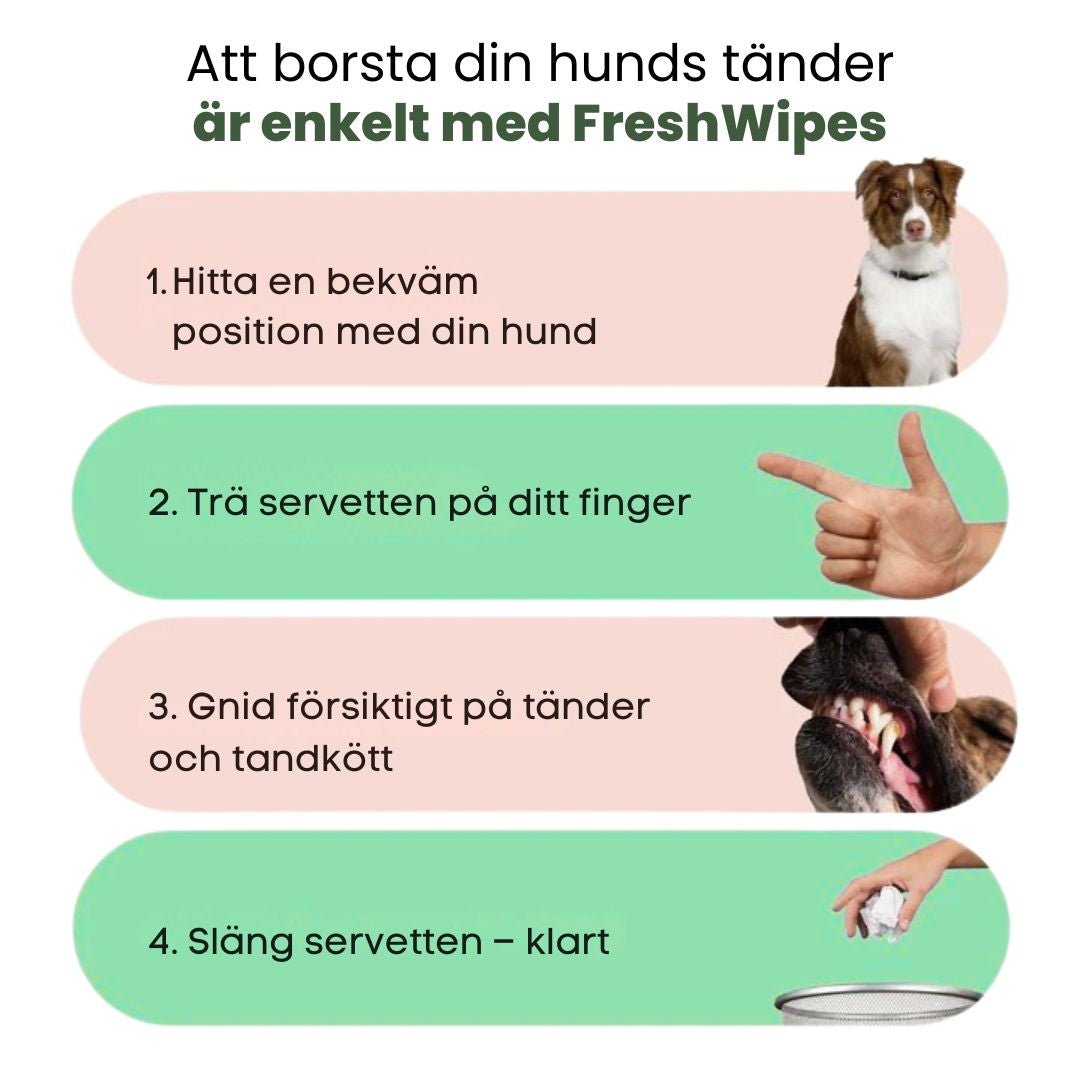 FreshWipe Kit - Skyddar mot tandproblem