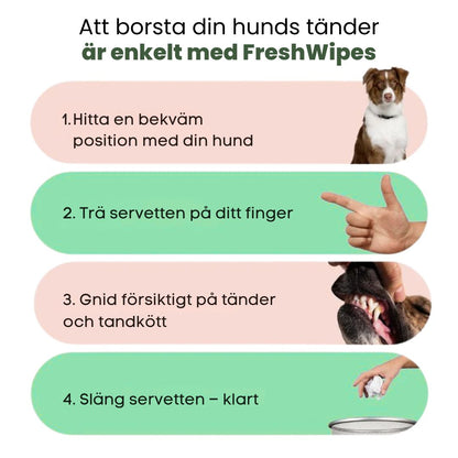 FreshWipe Kit - Skyddar mot tandproblem