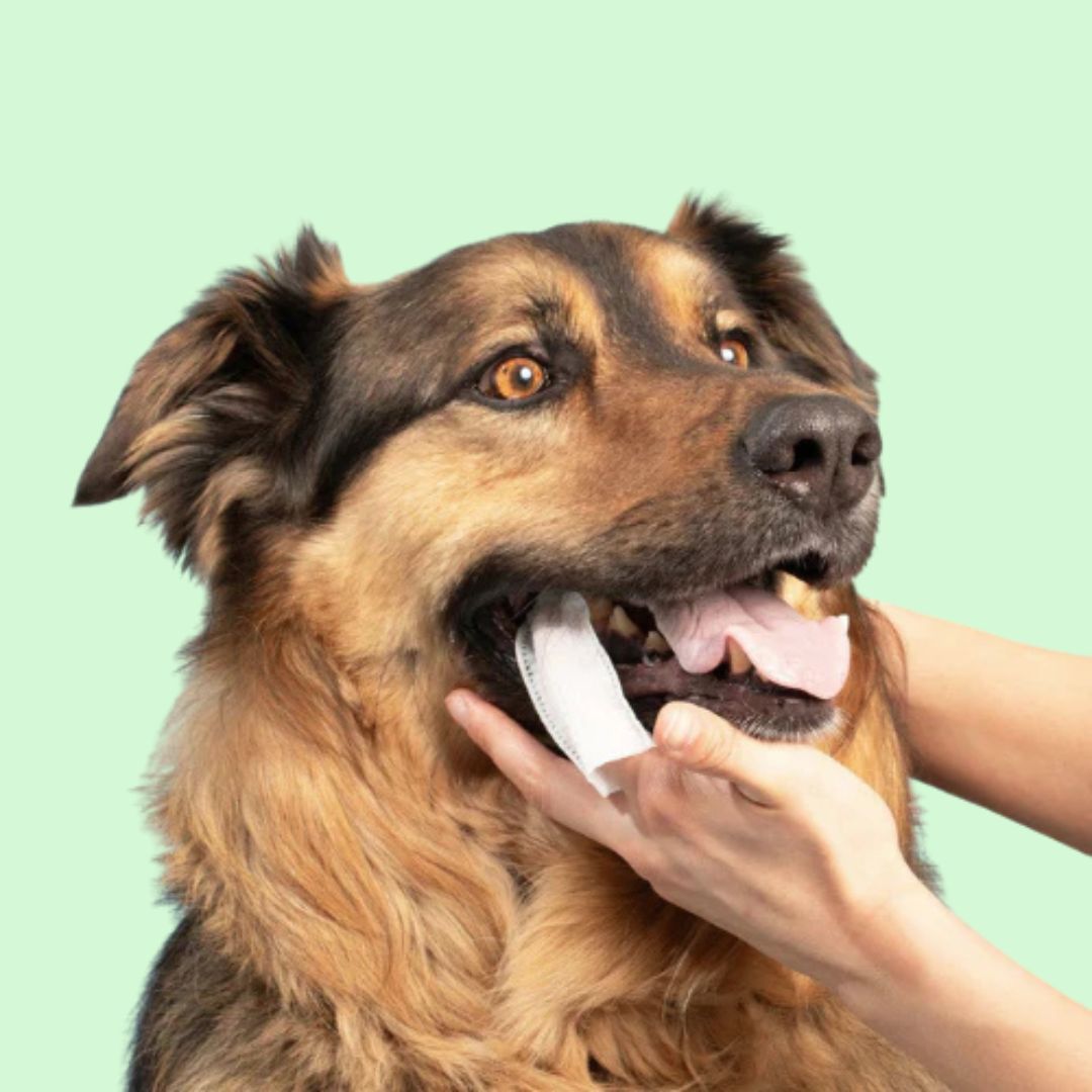 FreshCare Komplett Hälsokit