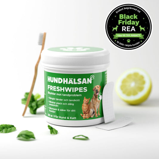 FreshWipe Kit - Skyddar mot tandproblem