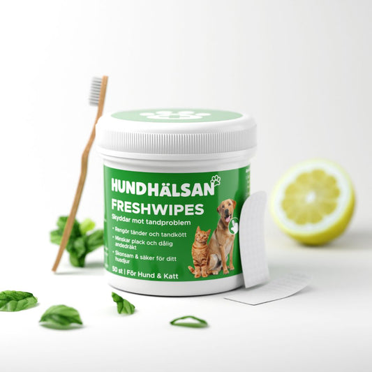 FreshWipe Kit - Skyddar mot tandproblem