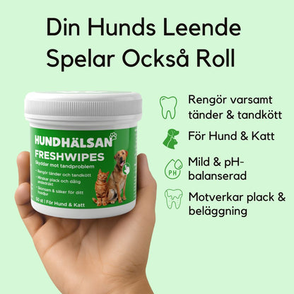 FreshWipe Kit - Skyddar mot tandproblem