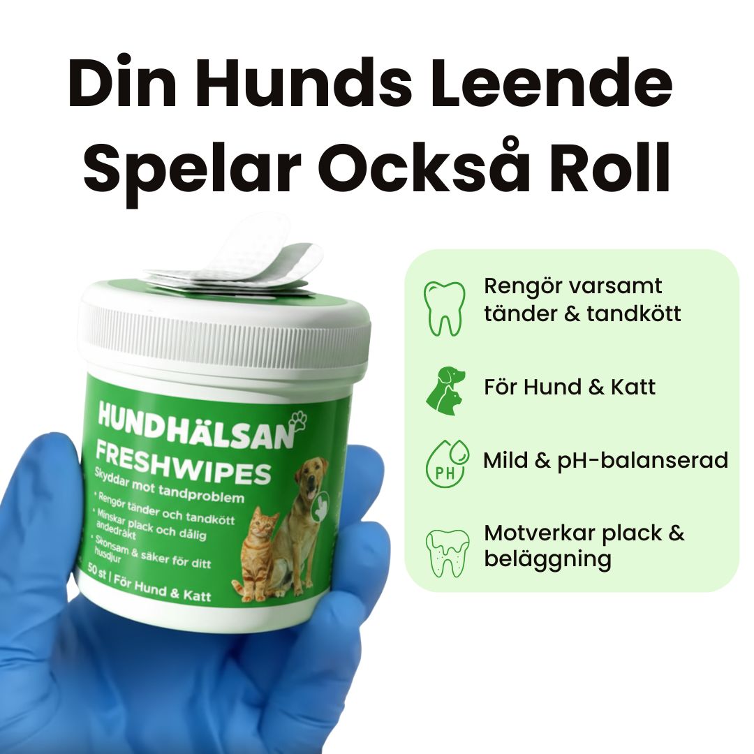 FreshWipe Kit - Skyddar mot tandproblem