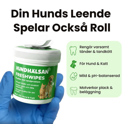 FreshWipe Kit - Skyddar mot tandproblem