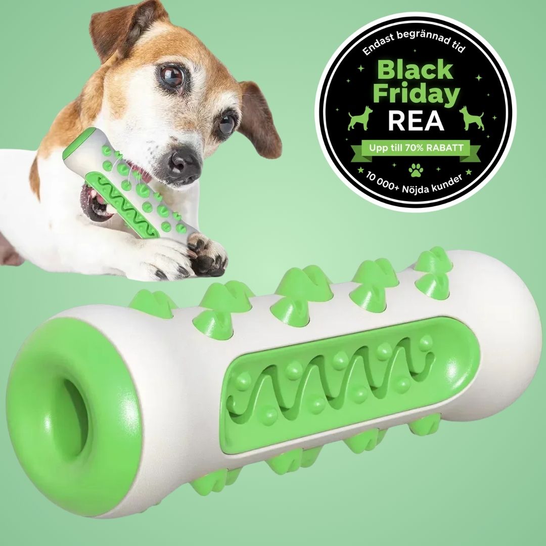 TuggTrygg - Hundens egna tandborste