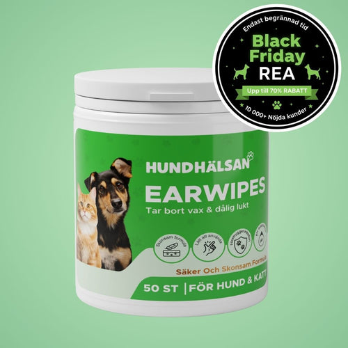 EarWipes Kit - 50 st