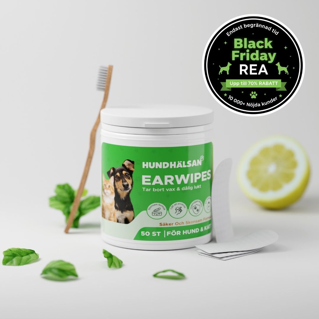 EarWipes Kit - Skyddar mot öronproblem