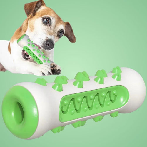 TuggTrygg - Hundens egna tandborste