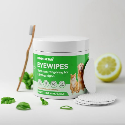 EyeWipes Kit - Skyddar mot ögonproblem