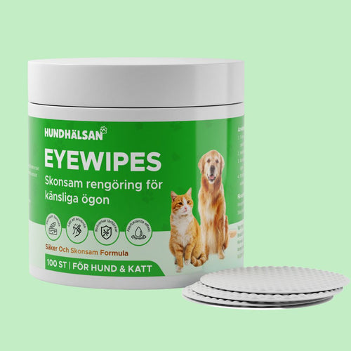 EyeWipes Kit - 100 st