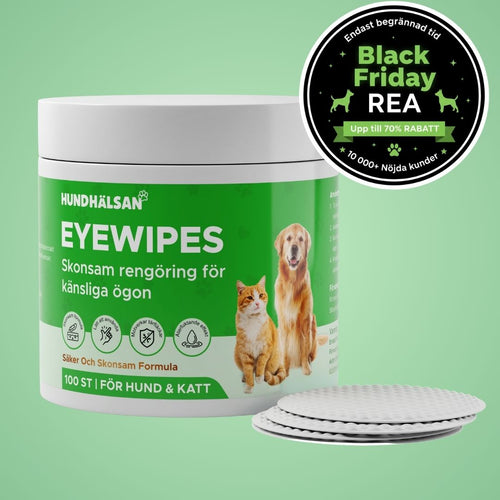 EyeWipes Kit - 100 st
