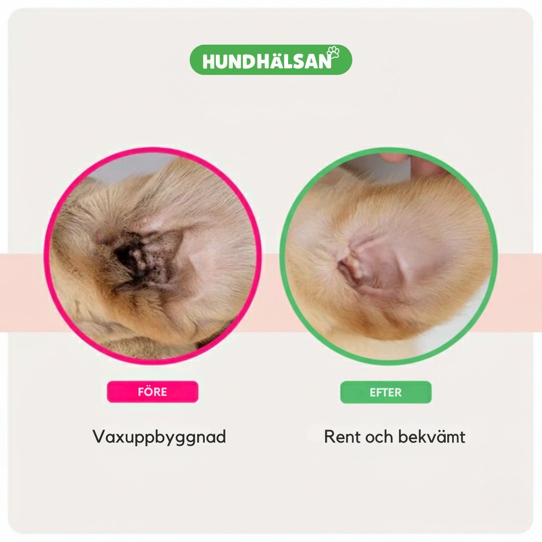 FreshCare Komplett Hälsokit