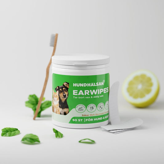 EarWipes Kit - Skyddar mot öronproblem