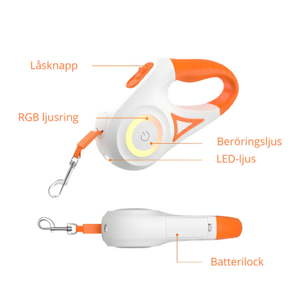 LED-Ljus Hundkoppel