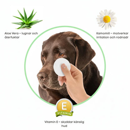 EyeWipes Kit - Skyddar mot ögonproblem