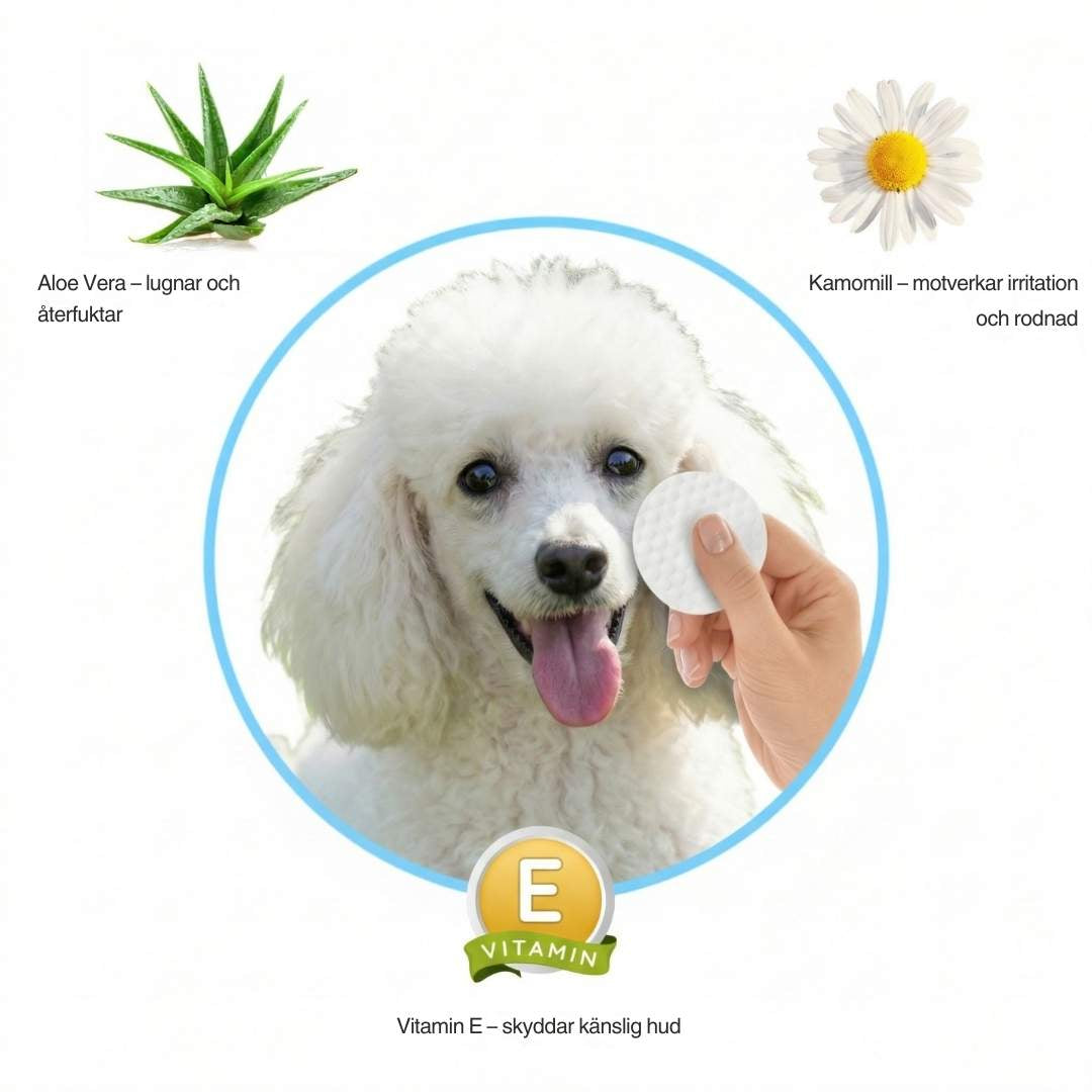 EyeWipes Kit - Skyddar mot ögonproblem