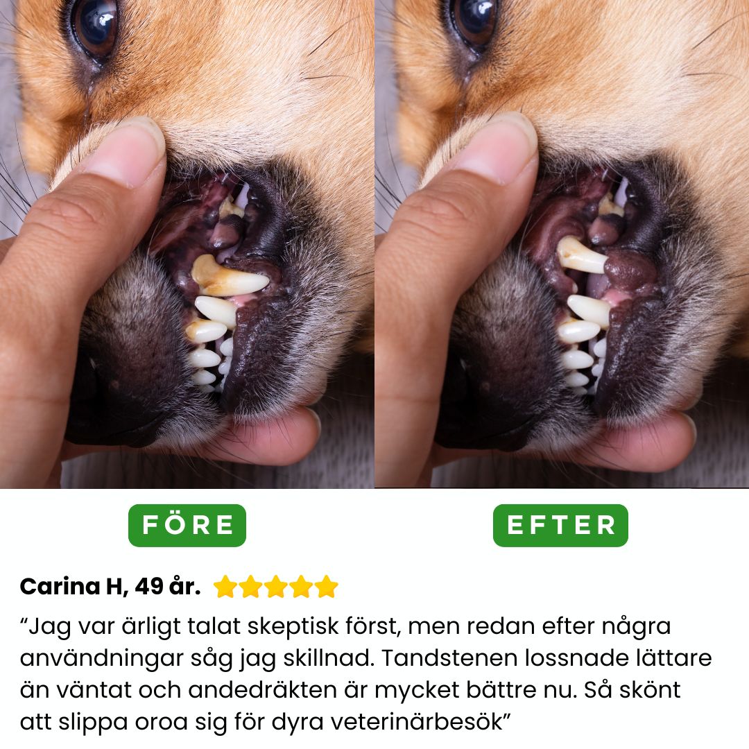 FreshSmile 3 in 1 Kit - Säker tandvård hemifrån