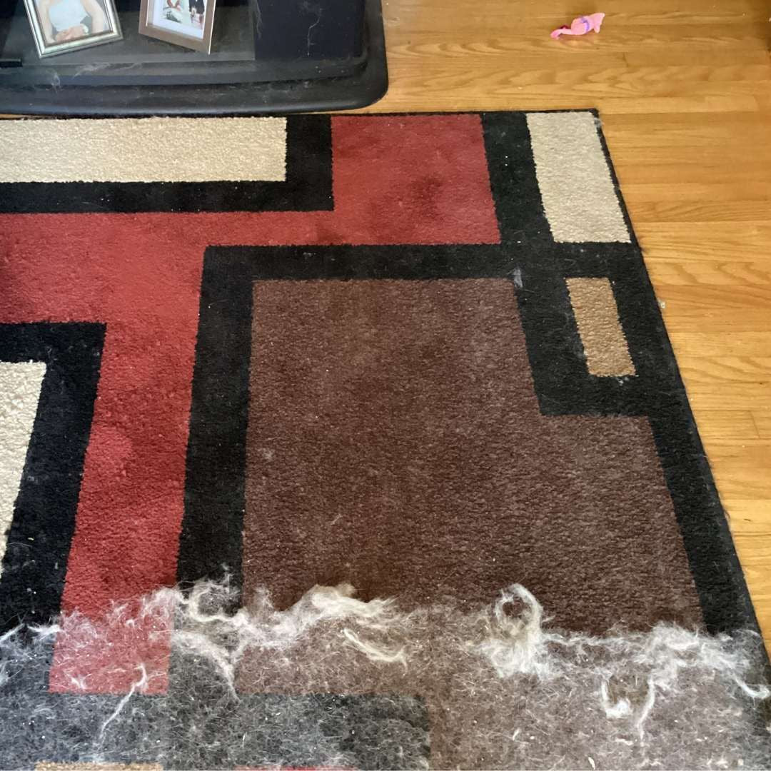 FreshClean Glove - Hårborttagning