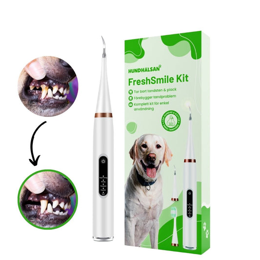 FreshSmile 3 in 1 Kit - Säker tandvård hemifrån